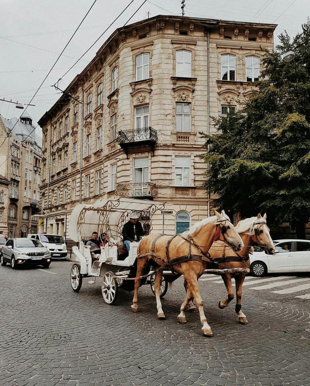 Staroevreyskaapart Lviv Eksteriør bilde